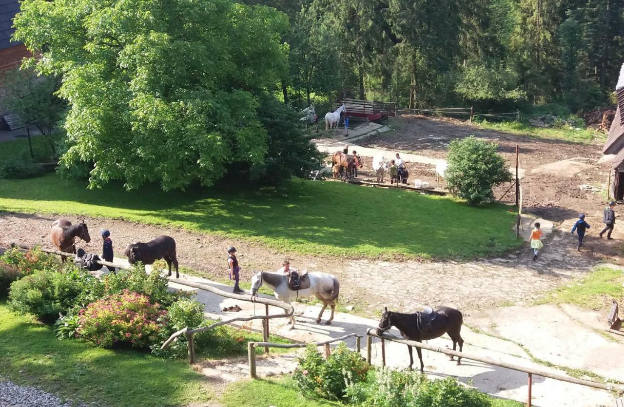 Gorski Osrodek Jezdziecki Bukowina Tatrzanska Bagian luar foto